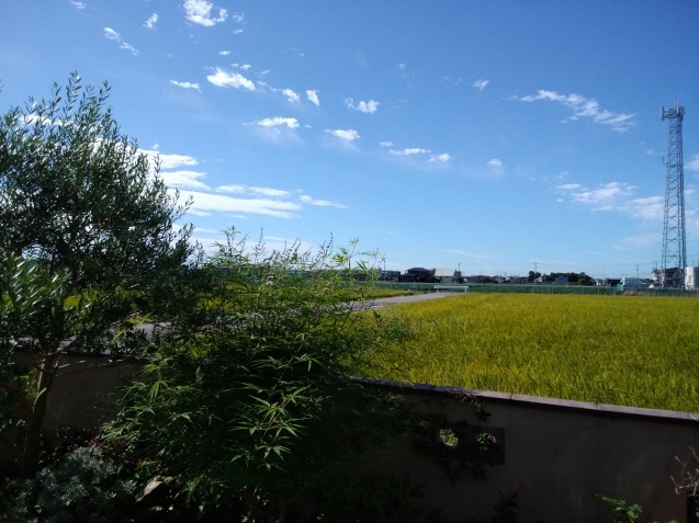 b0194267_11185231.jpg