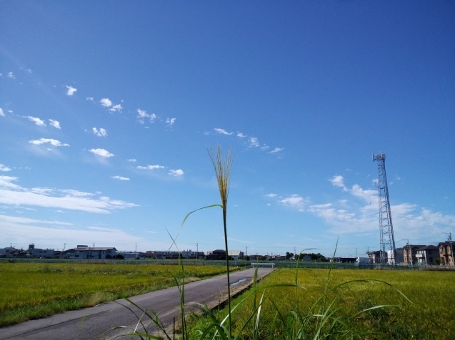 b0194267_11203646.jpg
