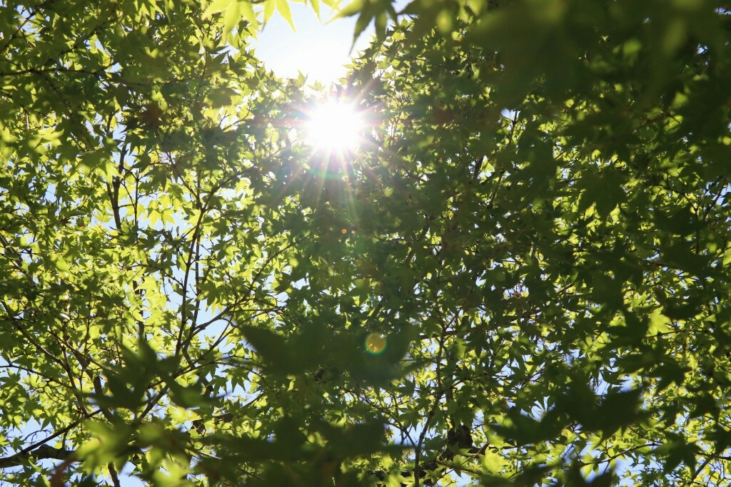 a0314368_16575343.jpg