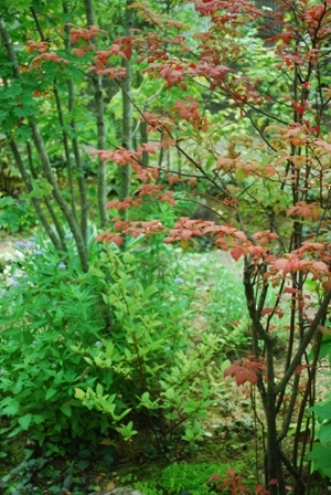 a0344771_15134637.jpg