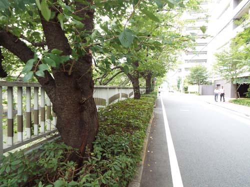f0211178_17114447.jpg