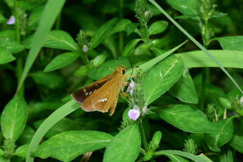 栃木県の公園へ_f0348480_17510305.jpg