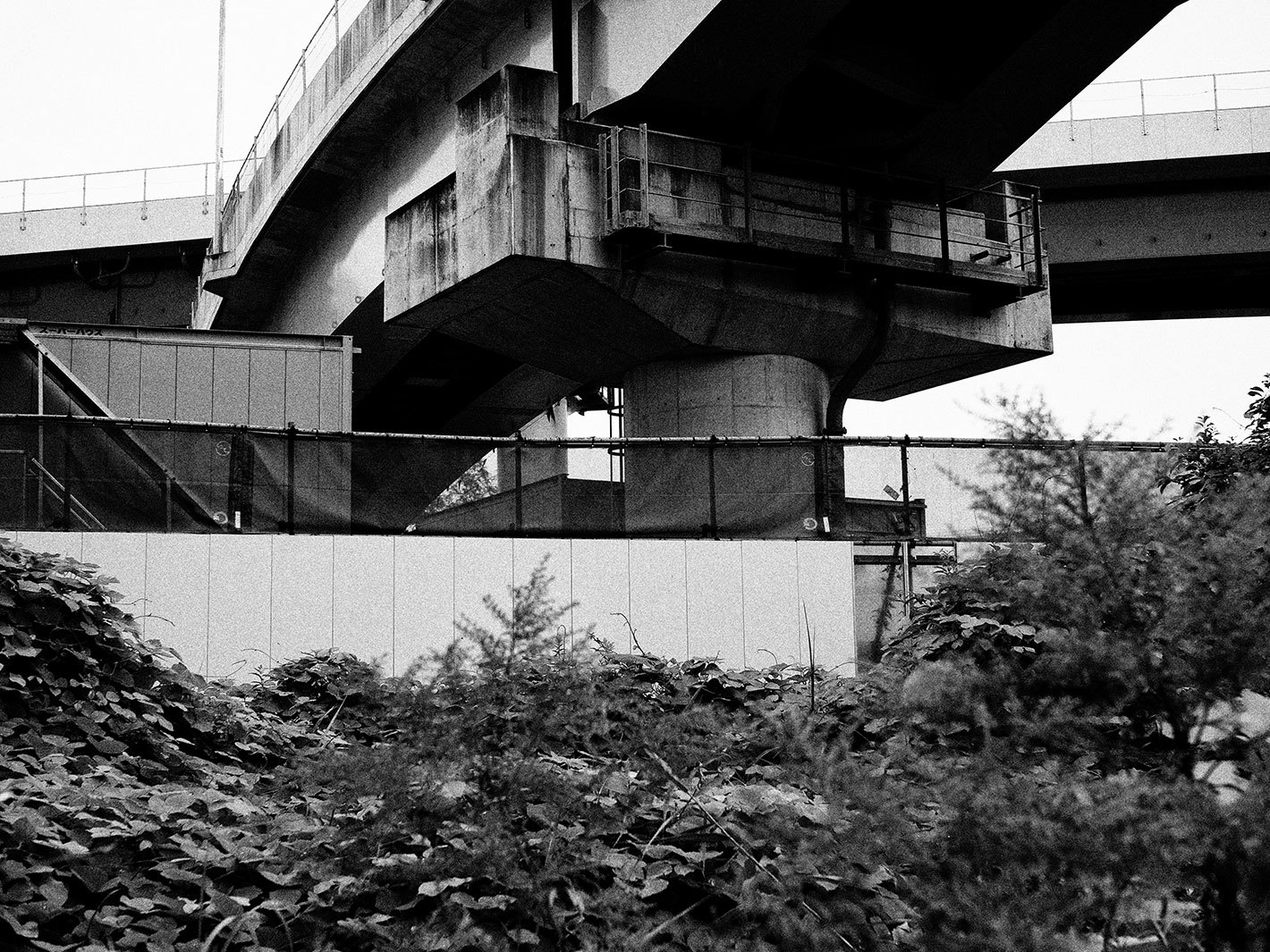 f0121181_05083249.jpg