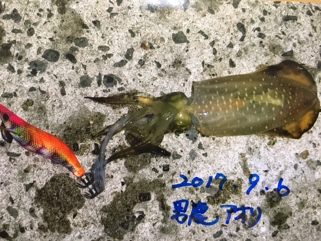 e0192884_10160147.jpg