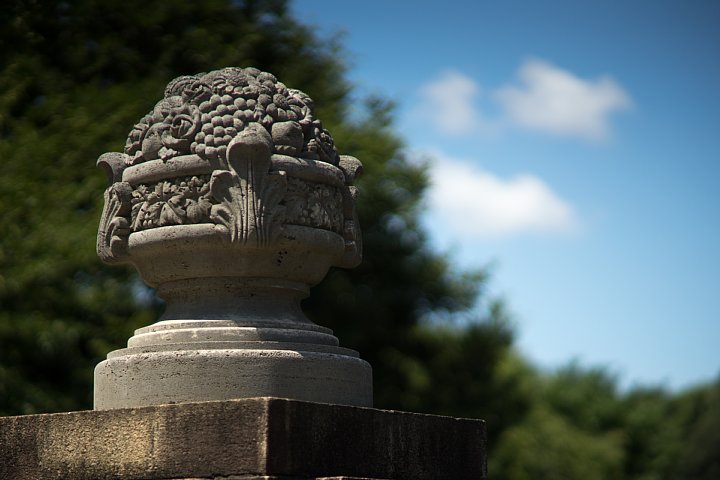 d0353489_2010488.jpg