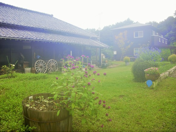 a0207593_00061090.jpg