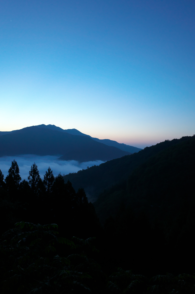d0081997_21403600.jpg