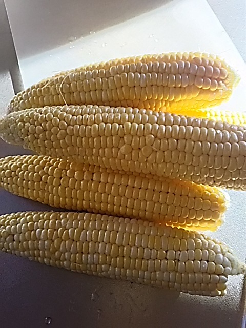 f0316507_06531729.jpg
