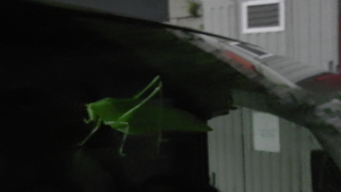 a0059812_23534165.jpg