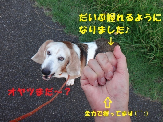 f0121712_21571688.jpg