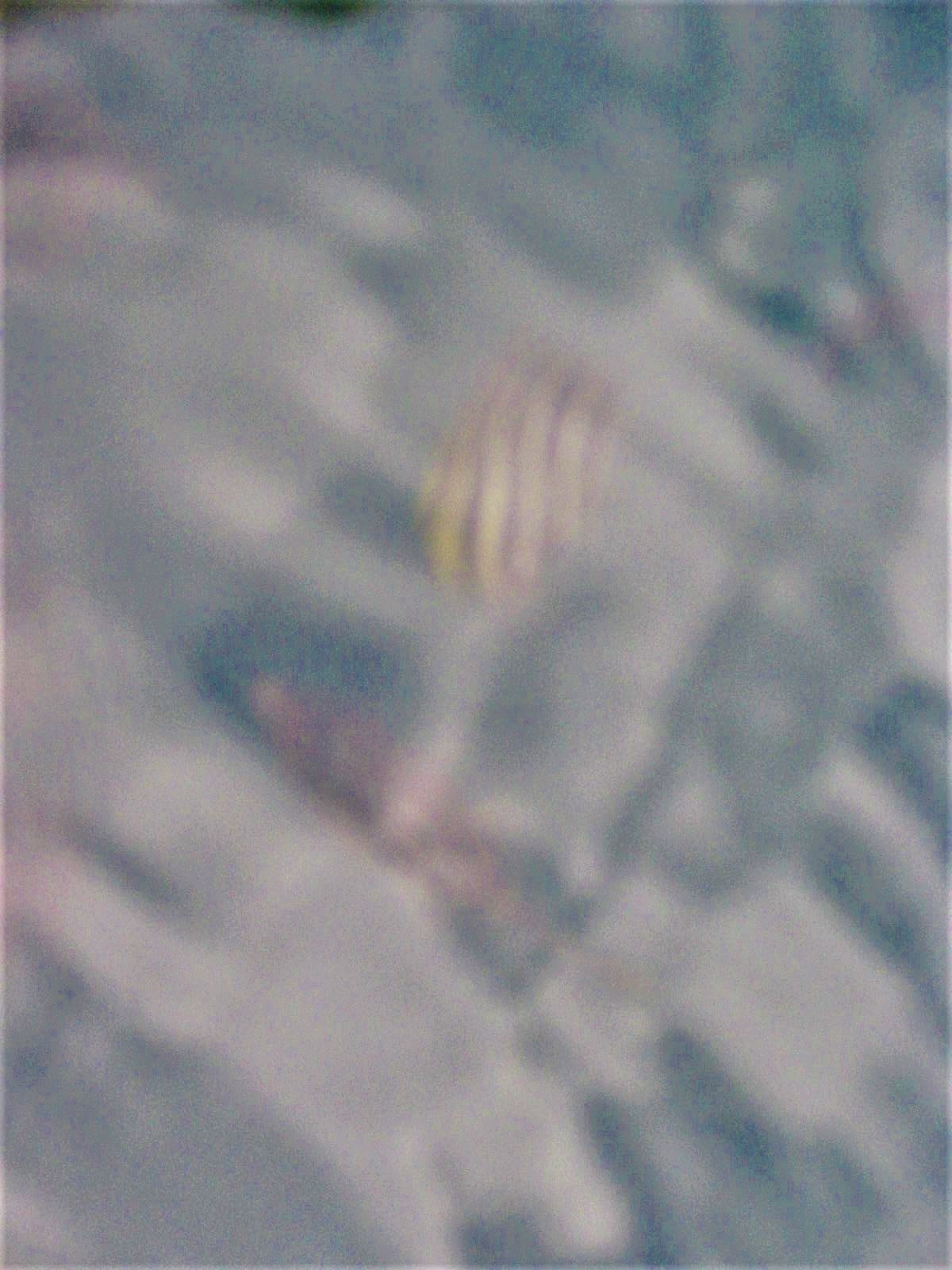 d0360922_08550457.jpg