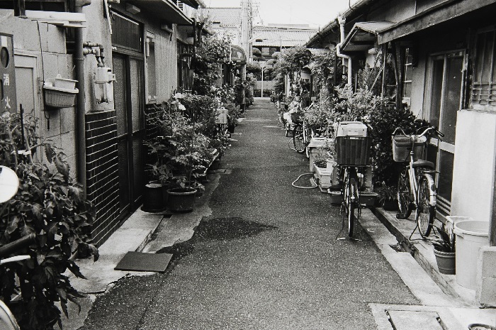 c0381632_11283650.jpg