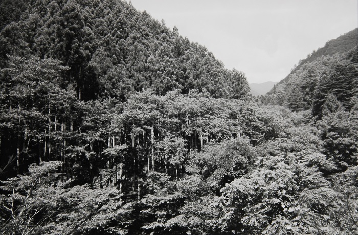 c0381632_23404618.jpg