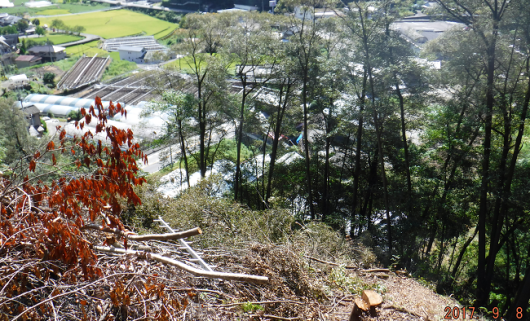 a0051539_04553227.png