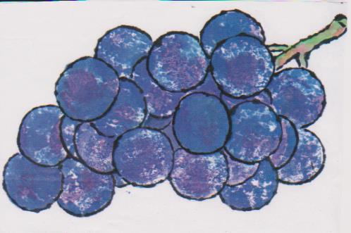 絵の形をとる型を使った葡萄の絵。