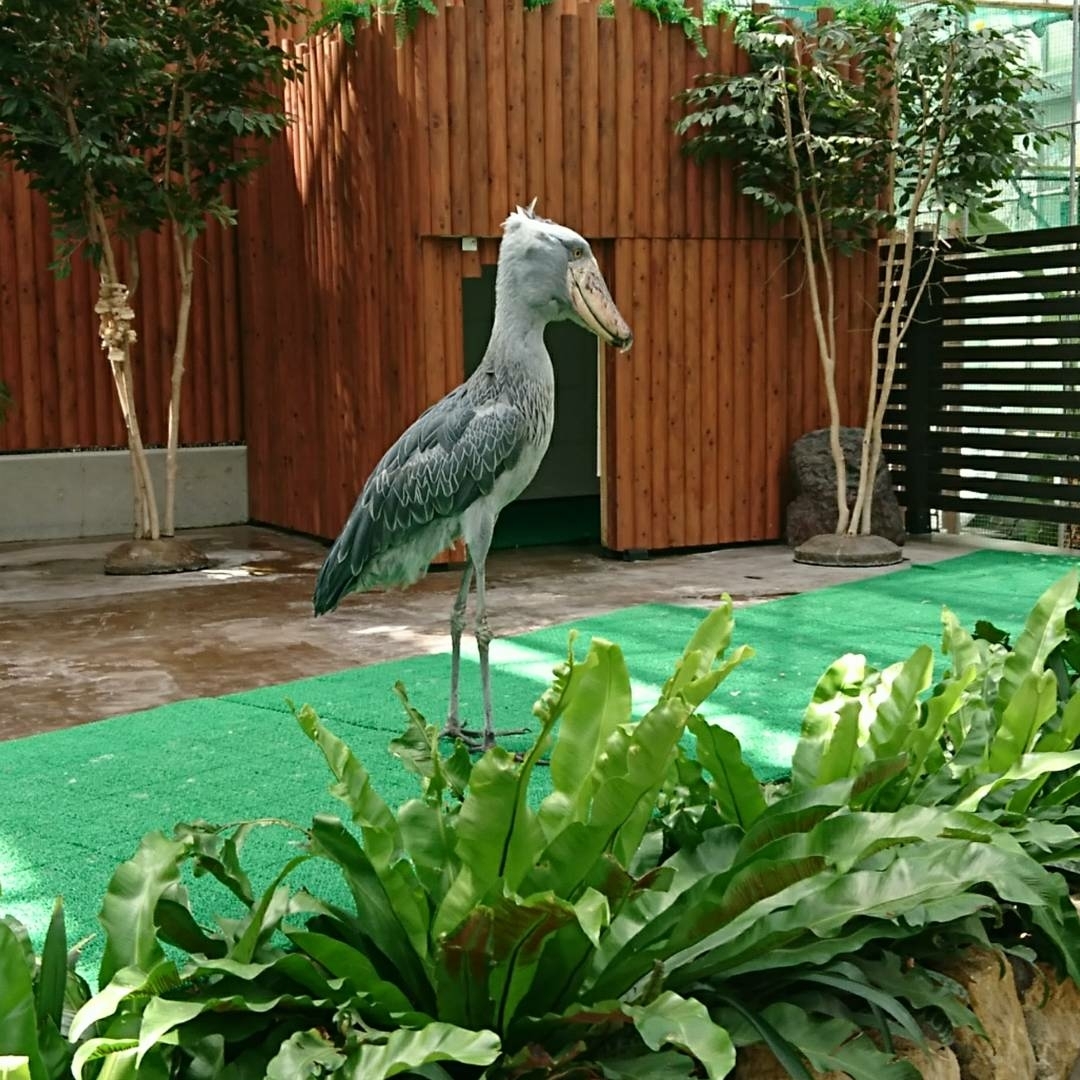 d0256356_05571273.jpg