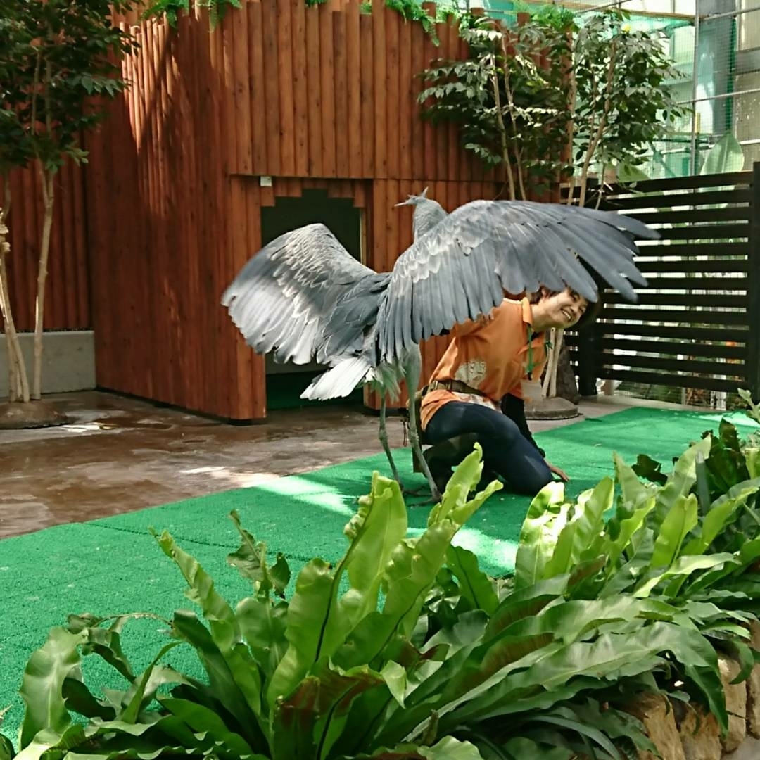 d0256356_05571443.jpg