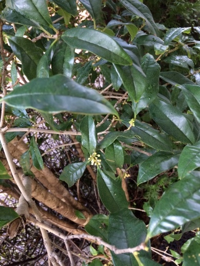 f0248161_08024242.jpg