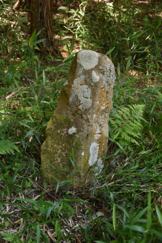 f0307787_10402439.jpg