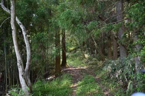 f0307787_10402661.jpg