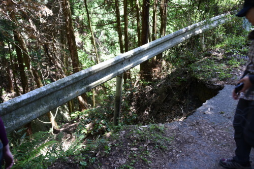 f0307787_10402861.jpg