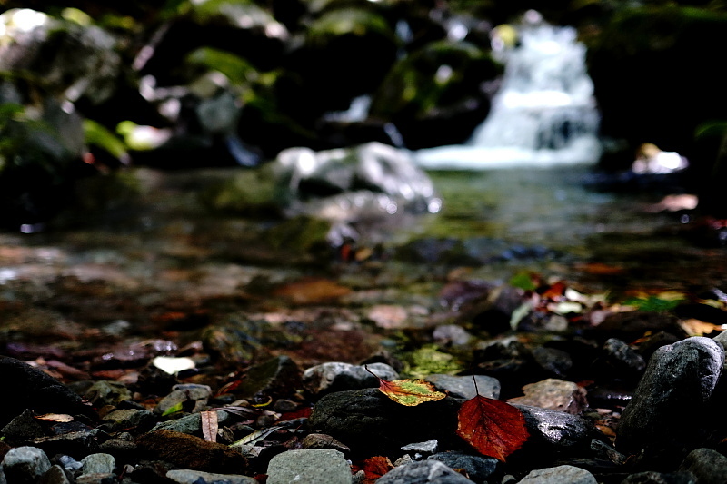 c0339900_09131220.jpg