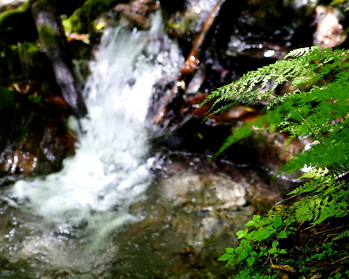 c0339900_09312618.jpg