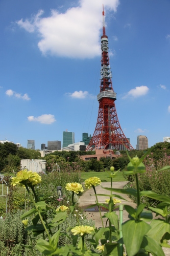 青空の下、芝公園を散策する・5_c0075701_05425018.jpg