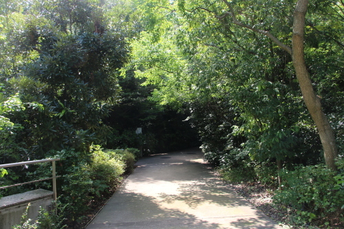 青空の下、芝公園を散策する・６　完_c0075701_05522031.jpg