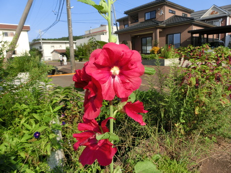 a0203003_8234971.jpg