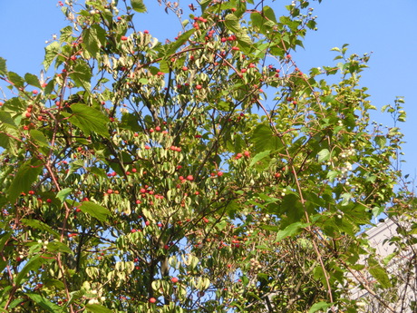 a0203003_8245354.jpg