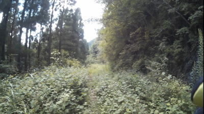 c0030607_18355977.jpg