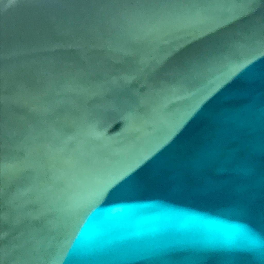 水族館 2_e0366207_21112484.jpg