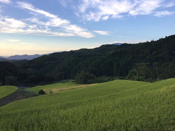 蕨野の棚田（佐賀県唐津市相知町）_f0364707_20225289.jpg