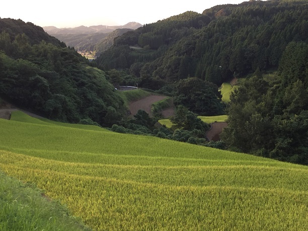 蕨野の棚田（佐賀県唐津市相知町）_f0364707_20231431.jpg