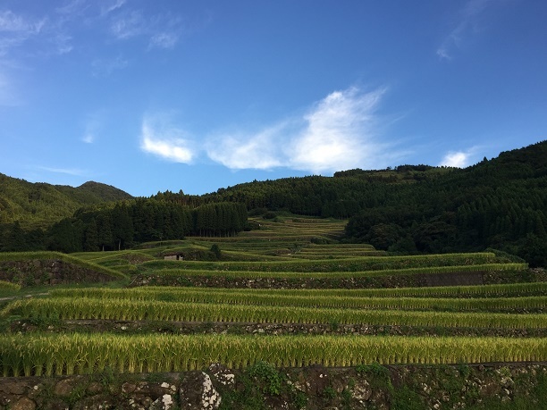 蕨野の棚田（佐賀県唐津市相知町）_f0364707_20232620.jpg