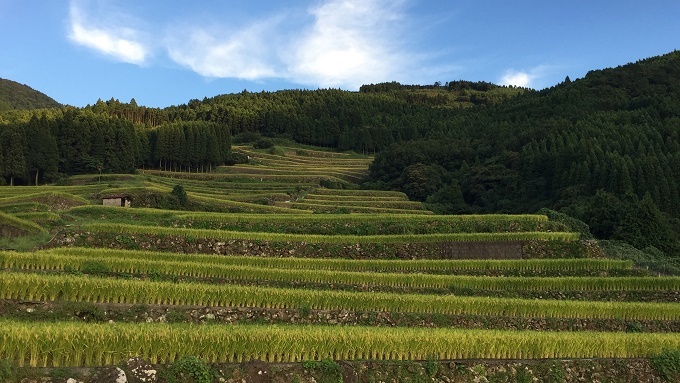 蕨野の棚田（佐賀県唐津市相知町）_f0364707_20233666.jpg