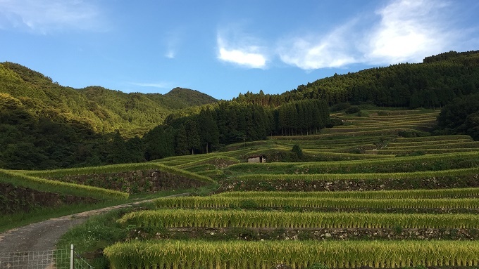 蕨野の棚田（佐賀県唐津市相知町）_f0364707_20234869.jpg