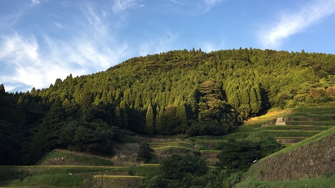 蕨野の棚田（佐賀県唐津市相知町）_f0364707_20235699.jpg