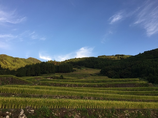 蕨野の棚田（佐賀県唐津市相知町）_f0364707_20251160.jpg