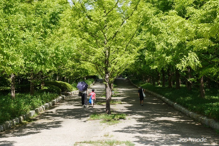 a0335421_09234987.jpg