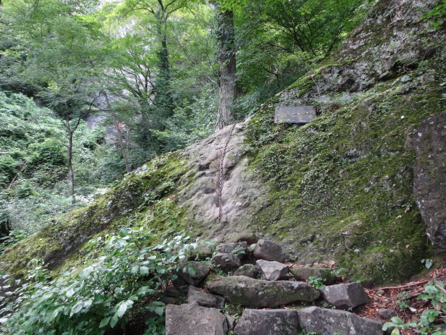 c0141223_18021998.jpg