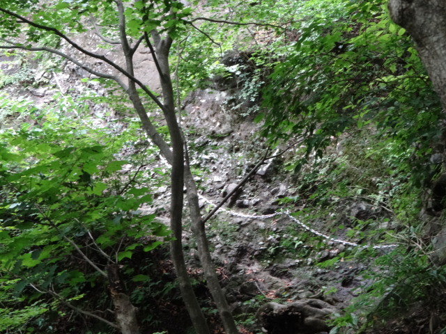 c0141223_18134144.jpg