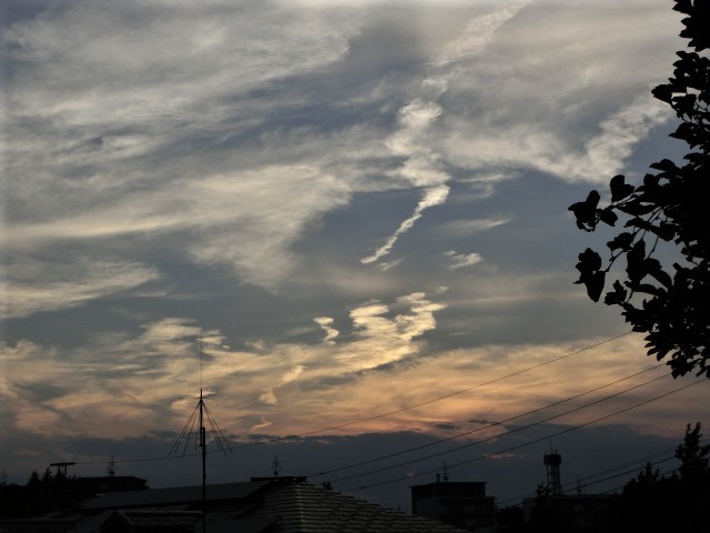 f0354923_00163068.jpg