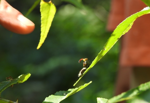 a0248728_16192540.jpg