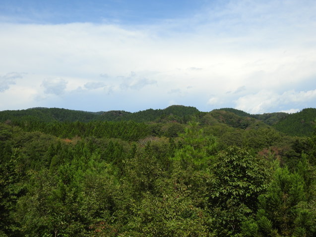 a0248728_16232054.jpg