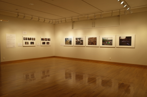 東川町文化ギャラリーで開催中の作品展です_b0187229_11054181.jpg