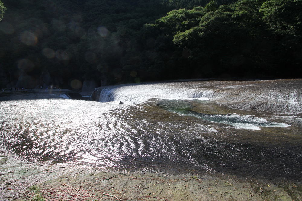 b0189231_20203212.jpg