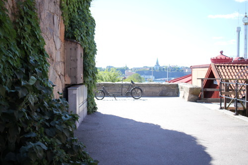 a0340842_22523283.jpg