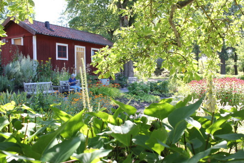 a0340842_23181542.jpg